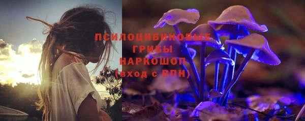 индика Куйбышев