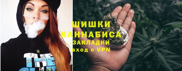 индика Куйбышев