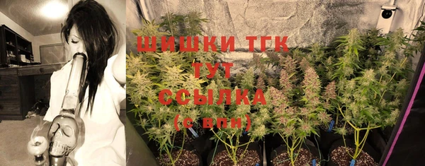 стафф Кулебаки