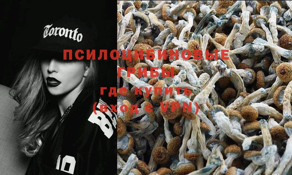 не бодяженный Сафоново