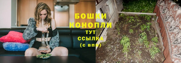 стафф Лабытнанги